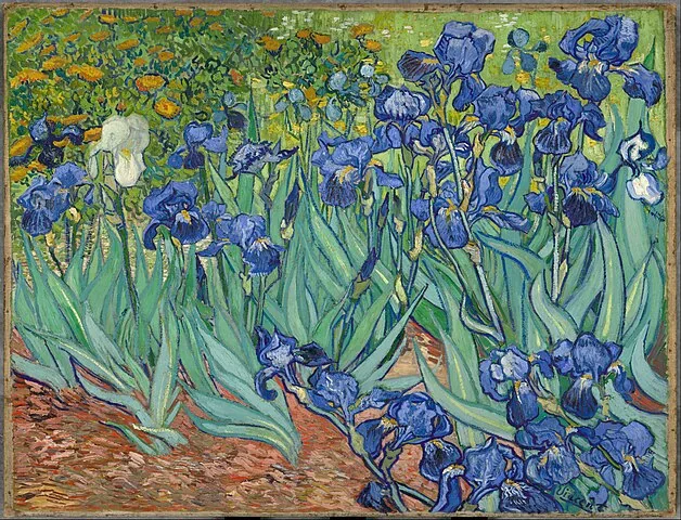Irises by Vincent van Gogh, 1889