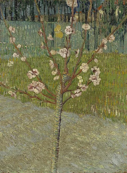 Peach Tree in Blossom by Vincent van Gogh, 1888
