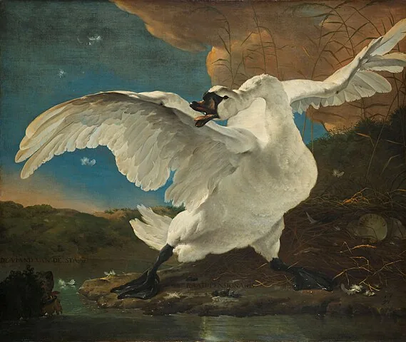 The Threatened Swan by Jan Asselijn, 1650