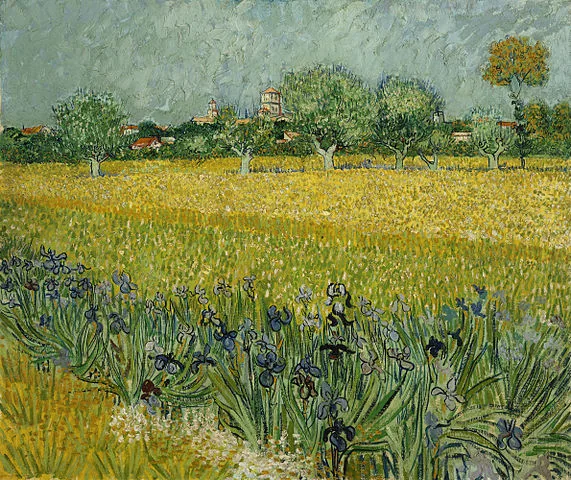 View of Arles with Irises in the Foreground by Vincent van Gogh, 1888