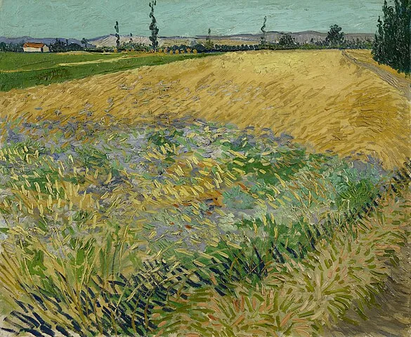 Wheatfield by Vincent van Gogh, 1888